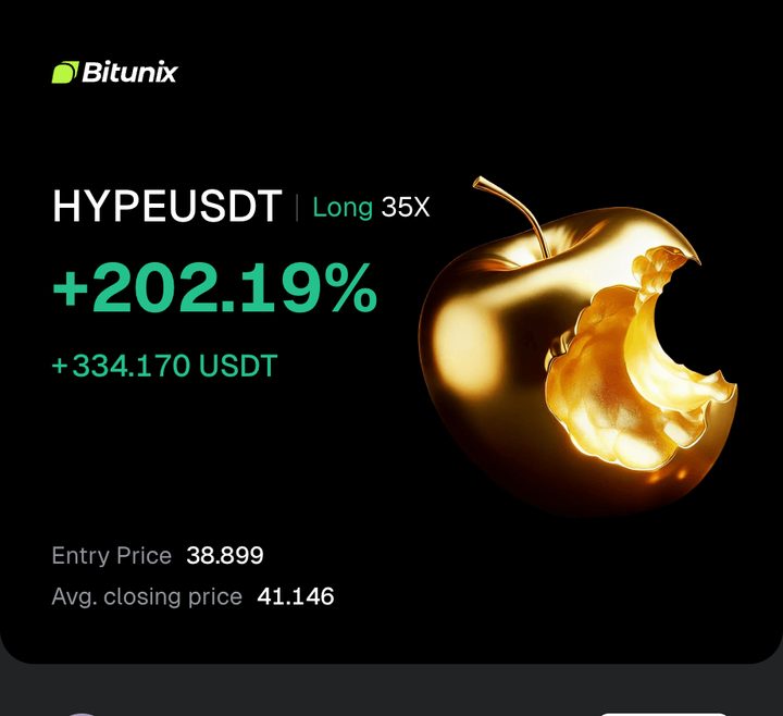 HYPEUSDT long closed +202.19%